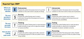 MBTI Career Report